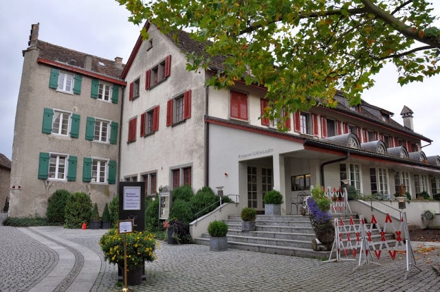 Bir Doğa Harikası: Rheinfall