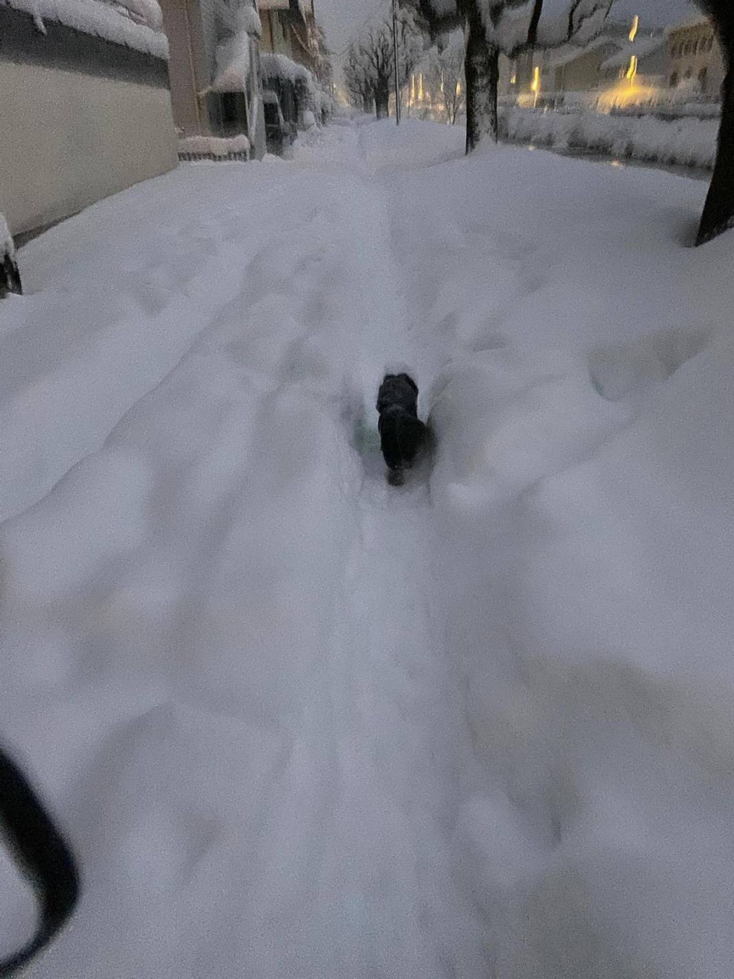 İSVİÇRE'DEN KAR MANZARALARI