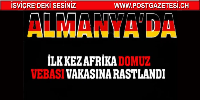 Almanya’da ilk kez Afrika domuz vebasına rastlandı