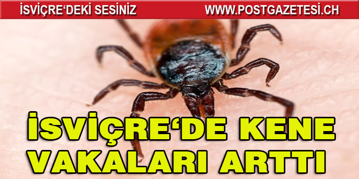 İsviçre’de Kene ısırmaları büyük ölçüde arttı
