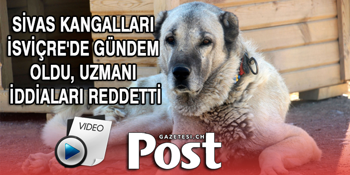 Kangallar İsviçre'de gündem oldu, uzmanı iddiaları reddetti