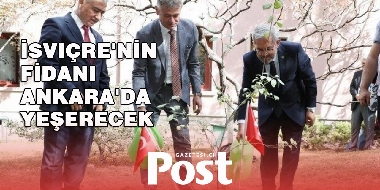 İsviçre'den gelen fidanlar  Ankara'da yeşerecek