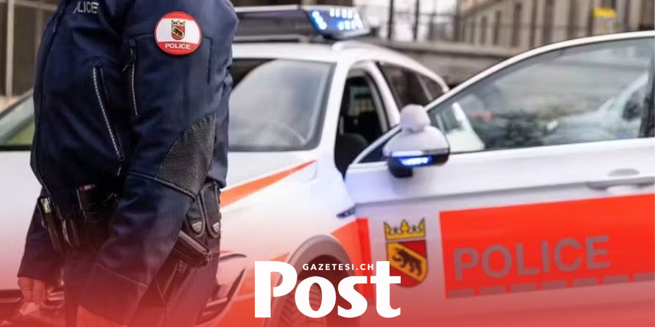 Bern’de Köpeğe Çarpıp Kaçtı