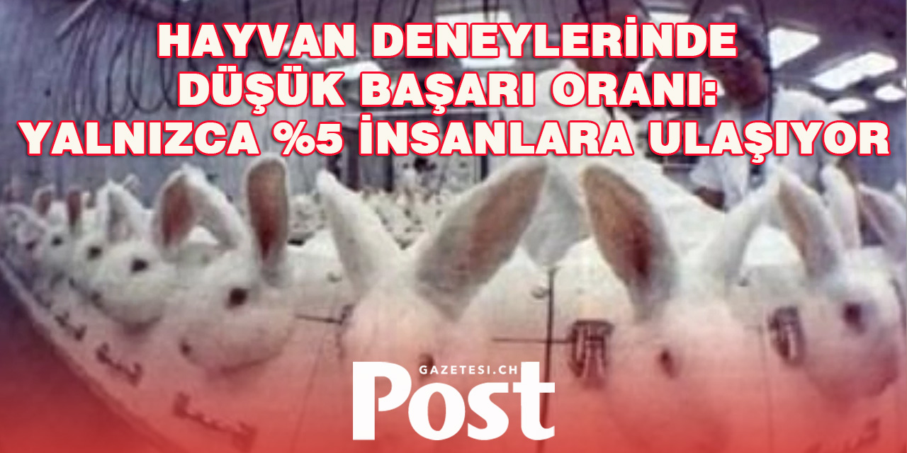 Hayvan Deneylerinde Düşük Başarı Oranı: Yalnızca %5 İnsanlara Ulaşıyor