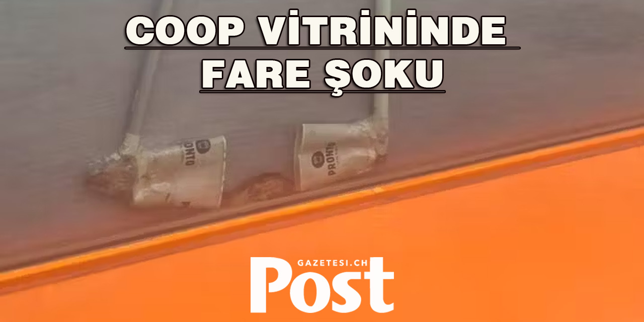Coop Mağazasının Vitrininde Fare