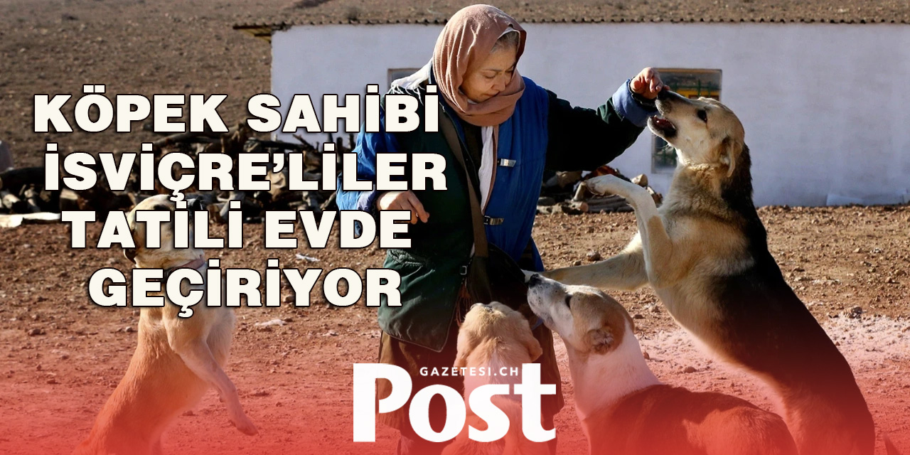 Köpekli İsviçreliler tatillerde evde kalmayı tercih ediyor