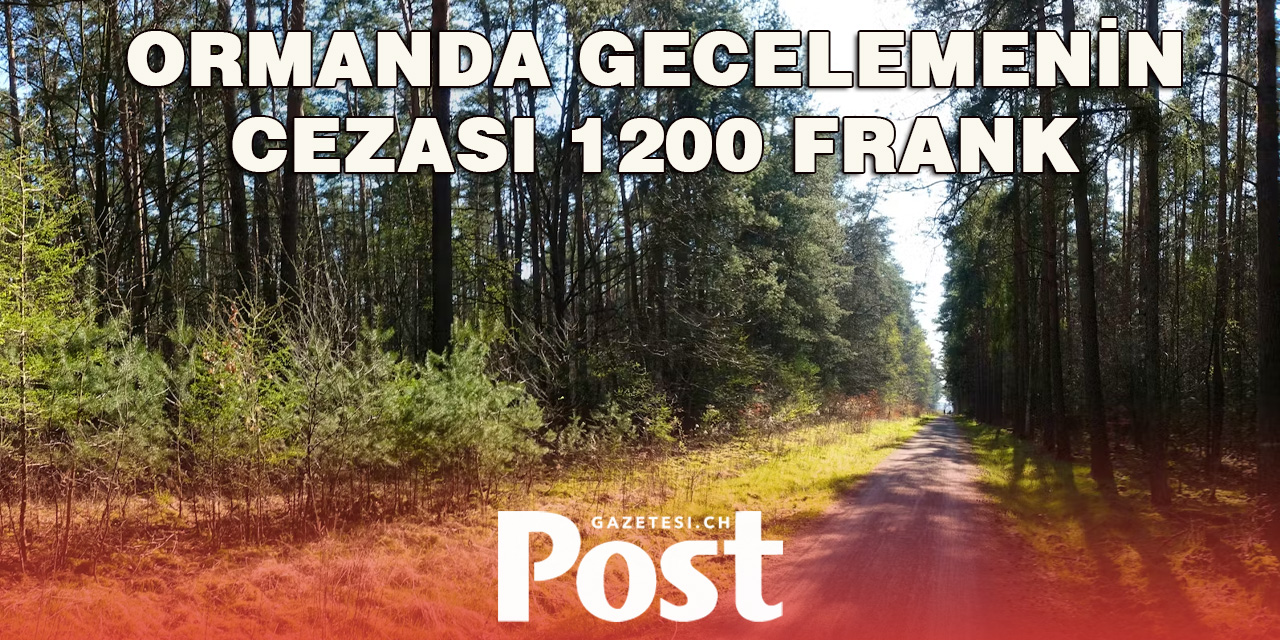Ormanda Geceleyen Romanyalılar 1200 Frank Cezaya Çarptırıldı