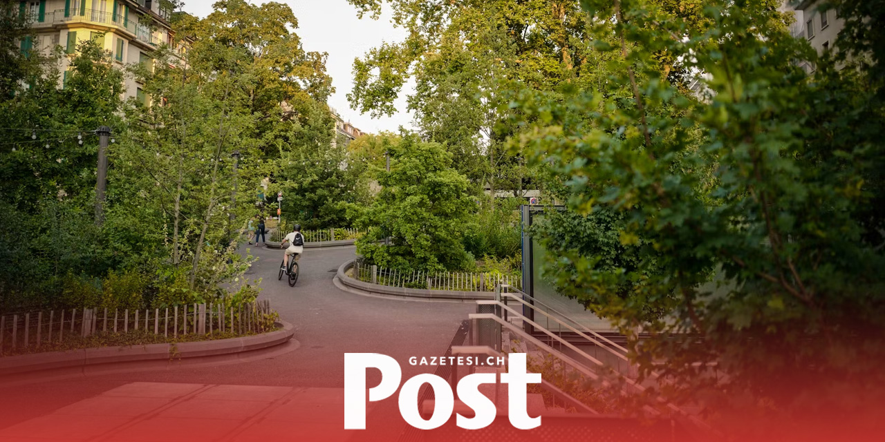 200 milyondan fazla ağaç dikilecek