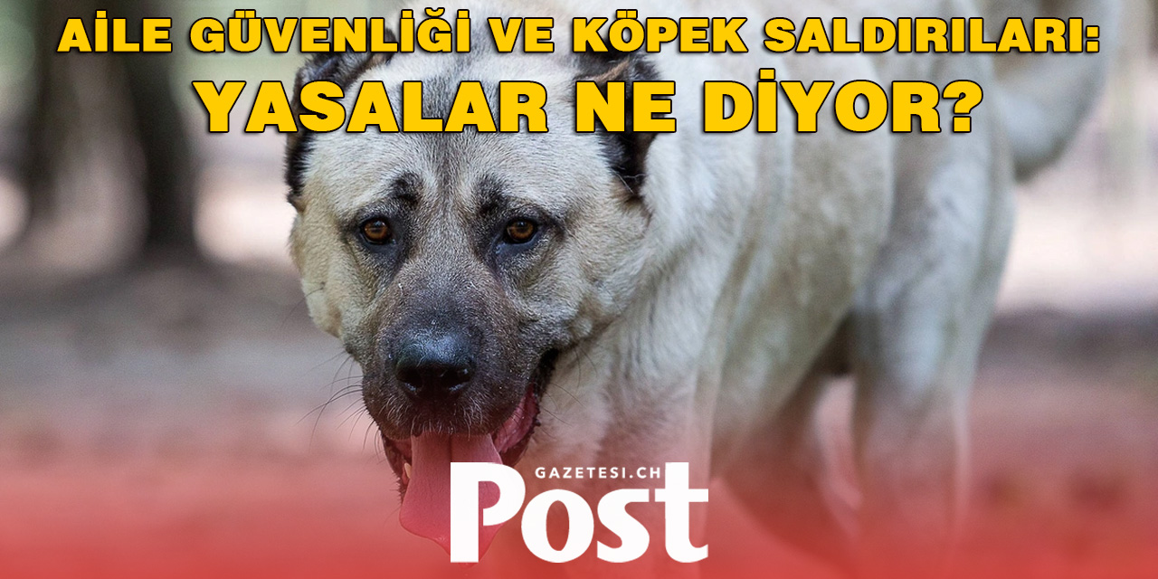 Köpek Saldırılarına Karşı İsviçre’de Hangi Yasalar Var?
