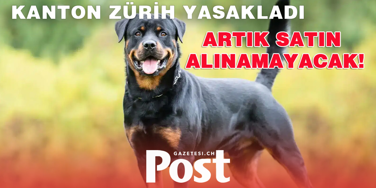 2025 YILINDAN İTİBAREN ROTTWEİLER CİNSİ KÖPEKLERİN SATIN ALINMASI YASAKLANDI