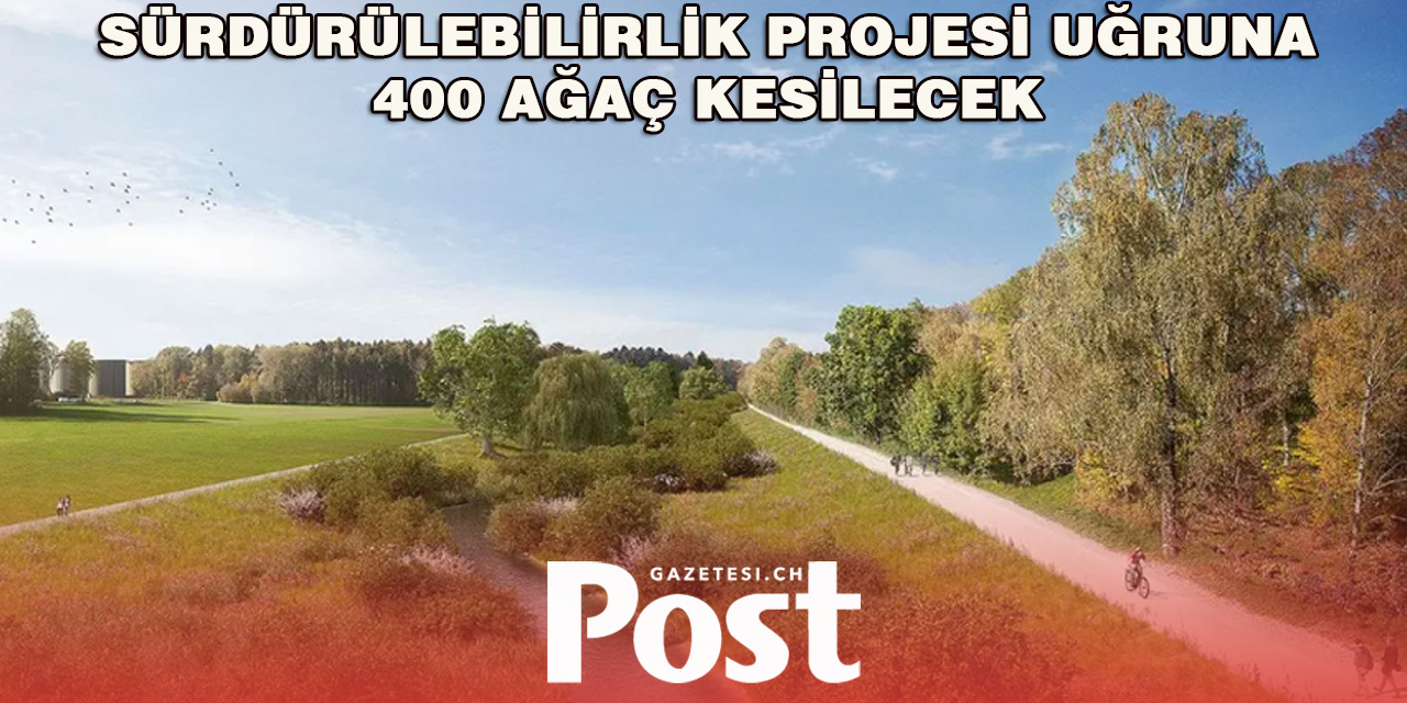 Çevre İçin Fedakarlık: Zürih Havalimanı 400 Ağaç Kesecek
