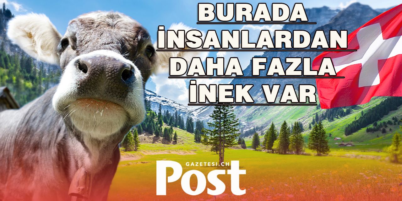 İsviçre’nin Bazı Kasabalarında İnsanlardan Çok İnek Var!