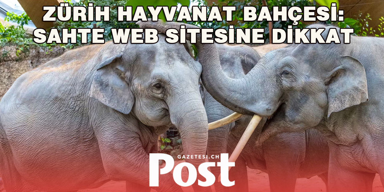 Zürih Hayvanat Bahçesi’nden Sahte Web Sitesi Uyarısı