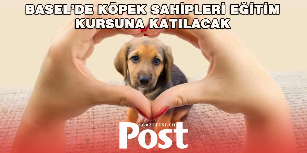 Basel’de Köpek Sahipleri İçin Kurs Zorunluluğu Yeniden Yürürlükte
