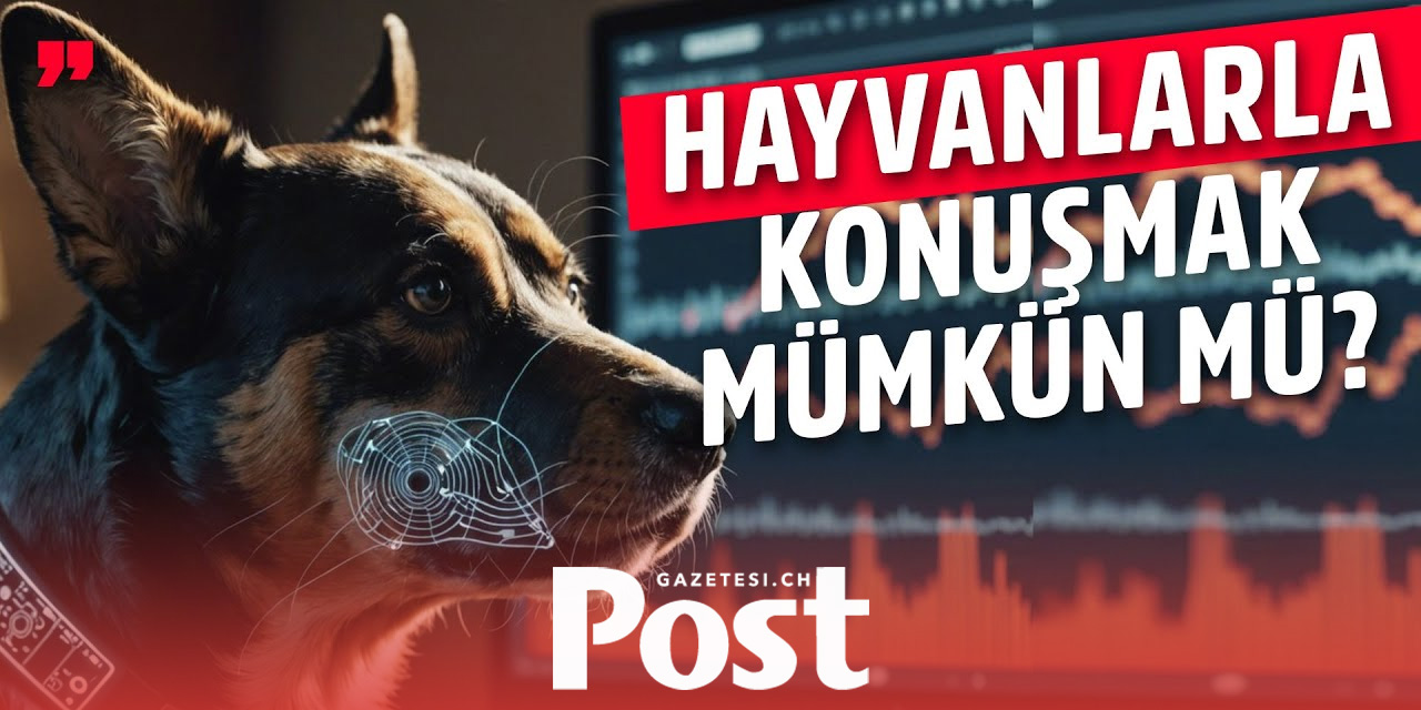 Yapay zeka sayesinde yakında hayvanlarla konuşabilecek miyiz?