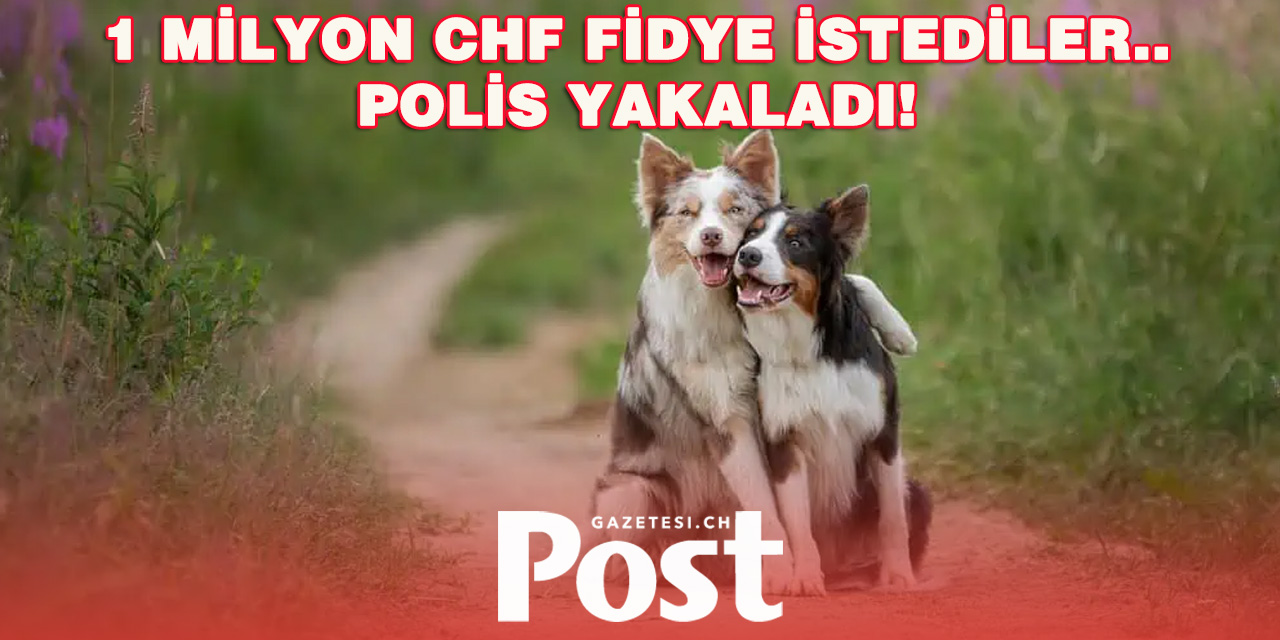 Kaçırılan Köpekleri Polis  kurtardı