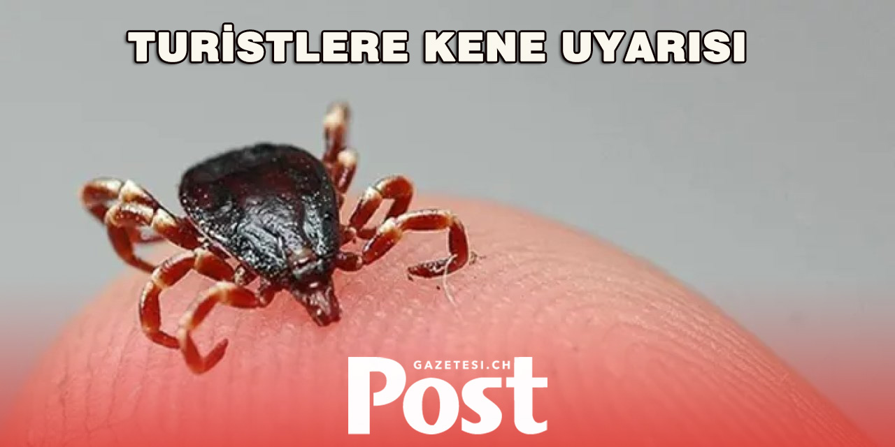 İsviçre’de Artan Kene Tehdidi: Turistlere Uyarı Çağrısı