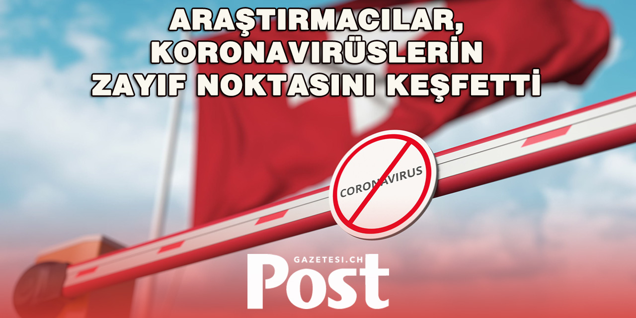 Bern Üniversitesi’nden Koronavirüsle Mücadelede Yeni Buluş