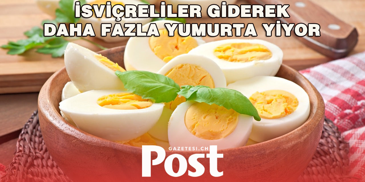 İsviçre’de Yumurta Tüketimi Rekor Kırdı