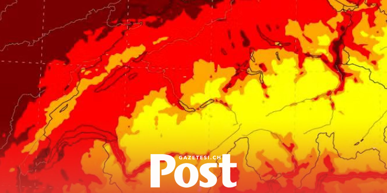 İsviçre’de Güzel Havayla Birlikte Polen Patlaması Bekleniyor
