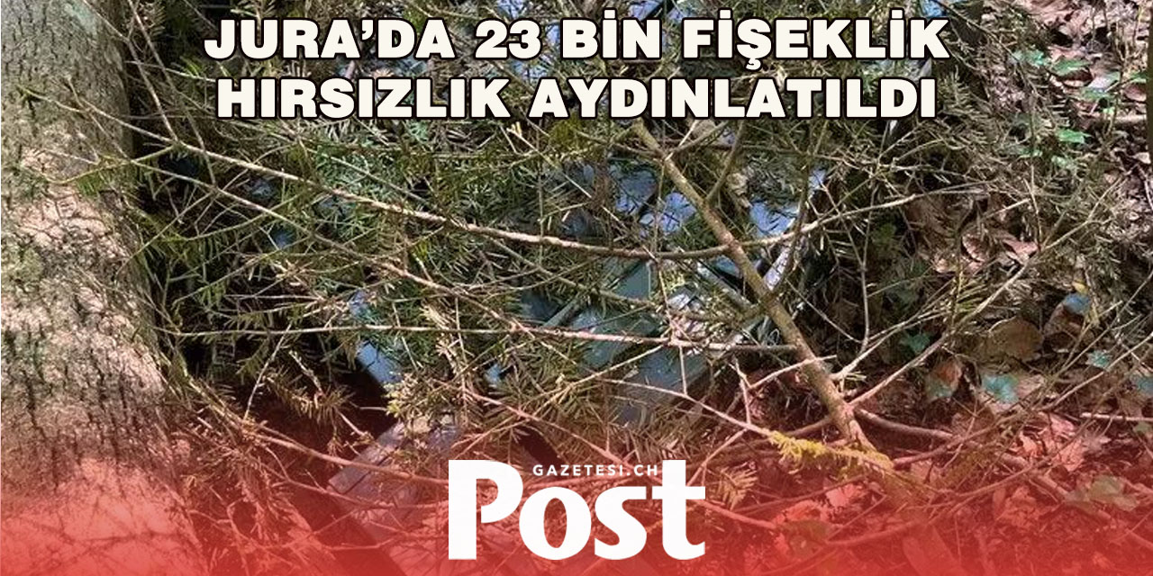 Jura’da Çalınan 23 Bin Fişek Ormanlık Alanda Bulundu