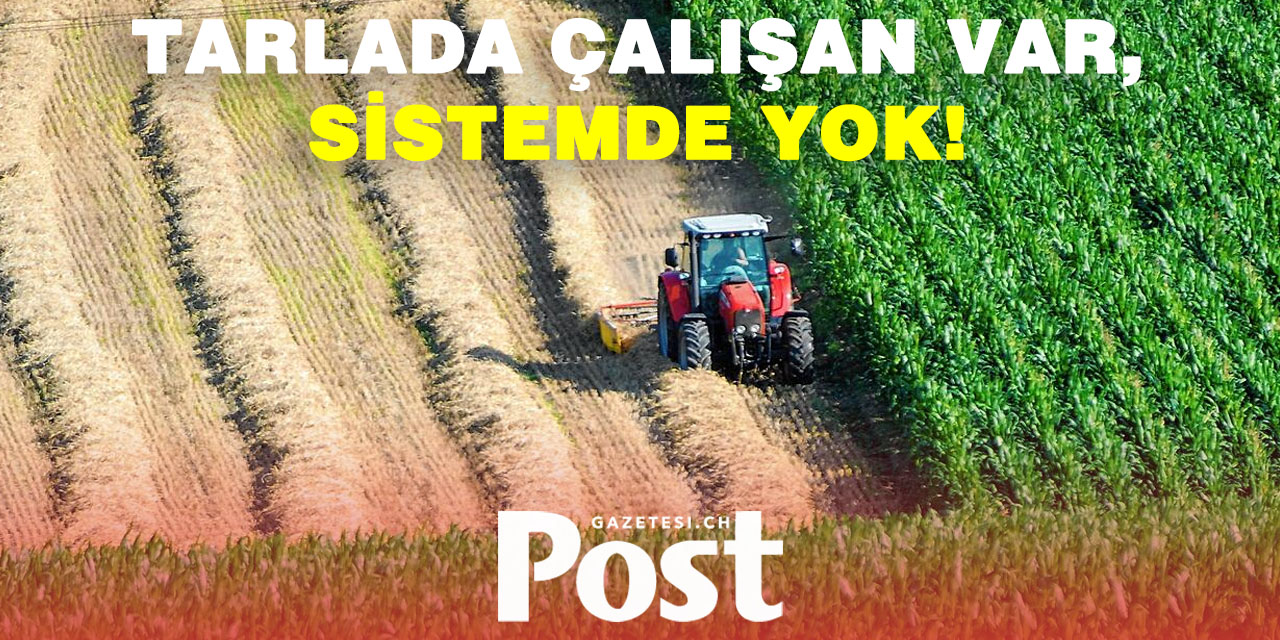 İSVİÇRE TARIM SEKTÖRÜNDE GÖRÜNMEYEN EMEK: SEZONLUK İŞÇİLER HAKKINDA BİLGİ YOK