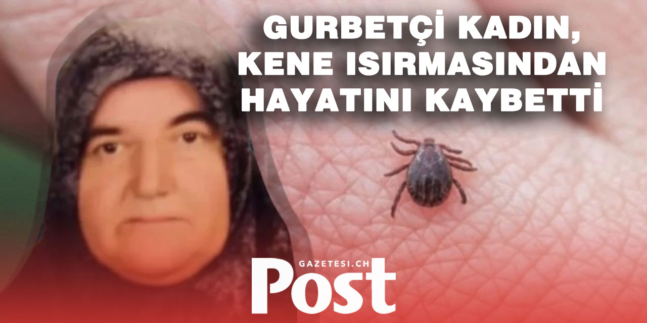 Tatil için Türkiye'ye giden gurbetçi keneden hayatını kaybetti