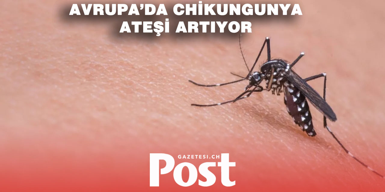 TROPİKAL TEHLİKE