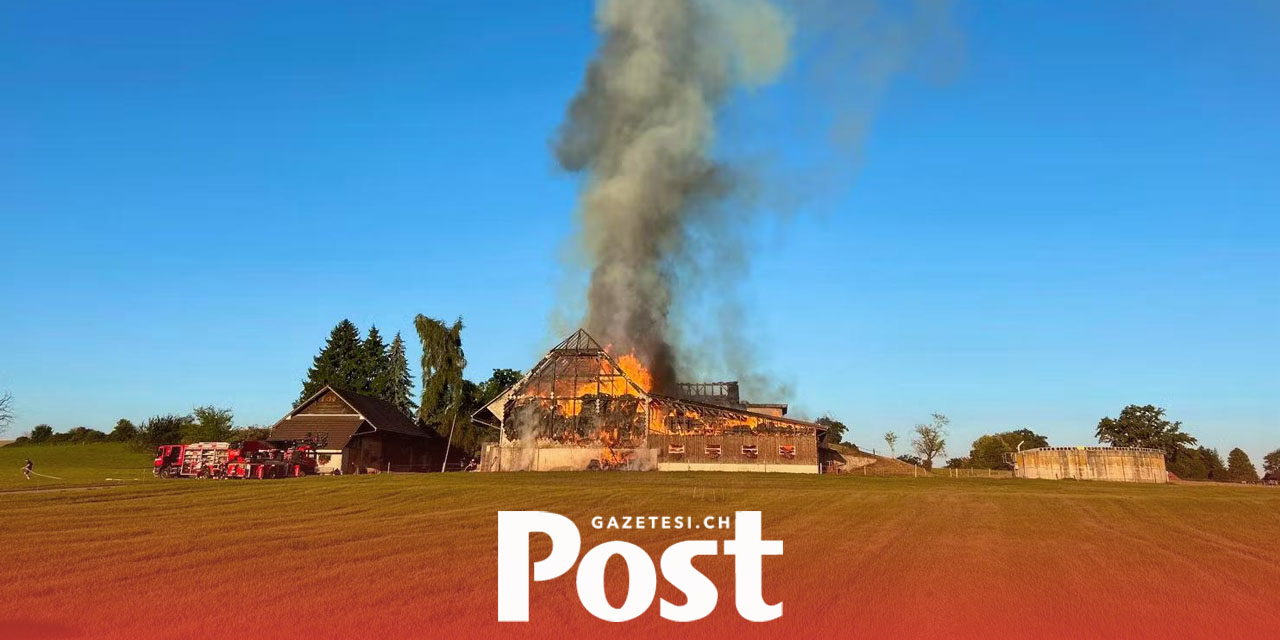 Fribourg’da Çiftlik Yangını: 15 Buzağı Telef Oldu