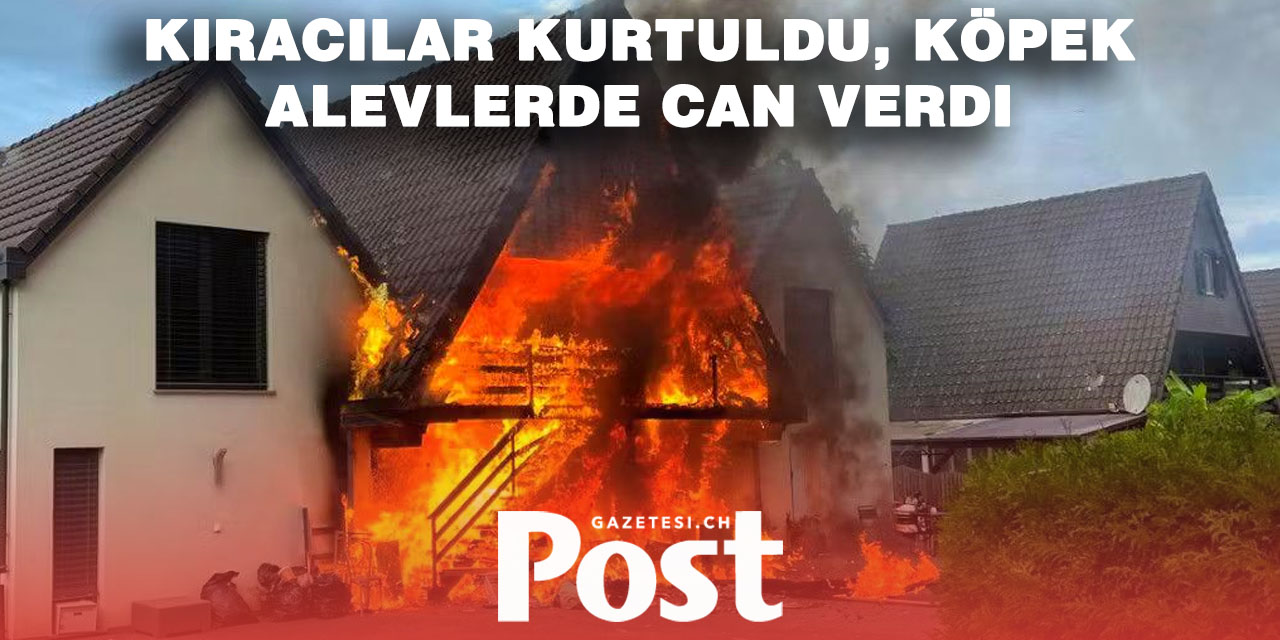 Fribourg’da villa yangında kül oldu: Köpek hayatını kaybetti