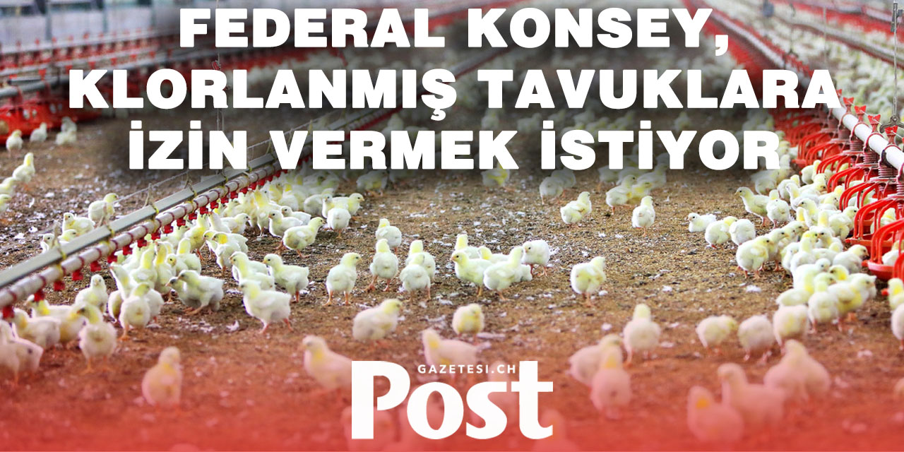 Gümrük Anlaşmazlığı: Federal Konsey, ABD’den klorlu tavuk ithalatına kapı aralıyor