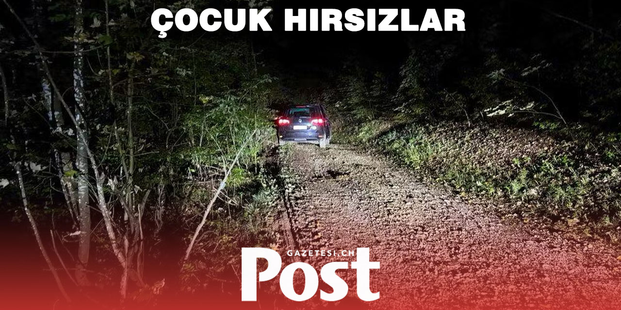 Aargau’da çalınan araç kovalamaca sonunda yakalandı