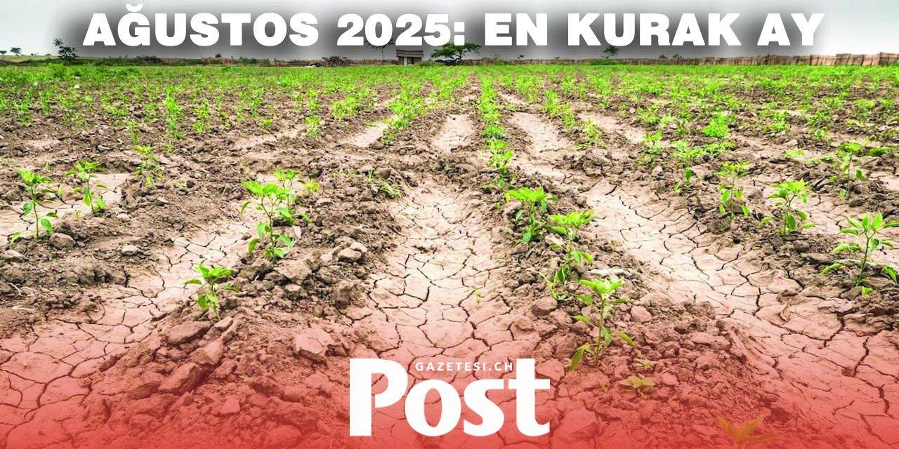 Türkiye’de toprakların %84’ü susuz kaldı