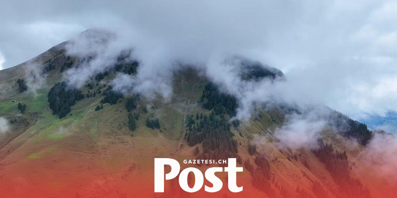 Bern’de mantar toplama gezisi faciayla bitti