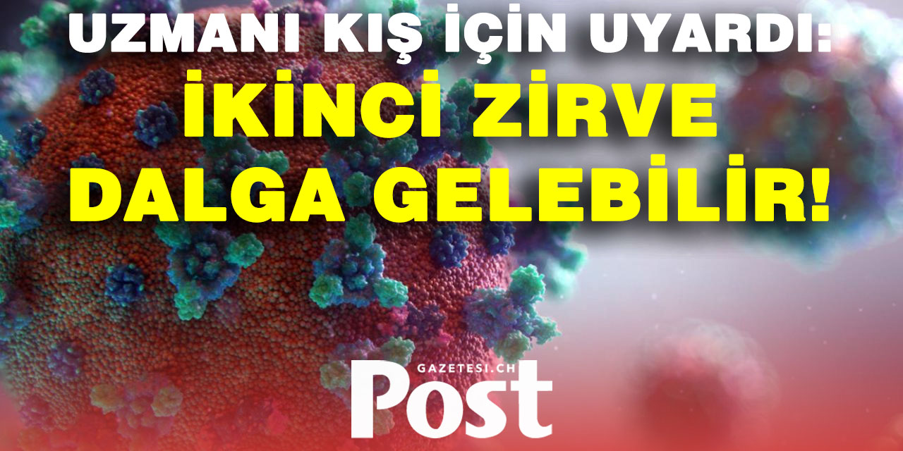 Uzmanı kış için uyardı: "İkinci zirve dalga gelebilir"