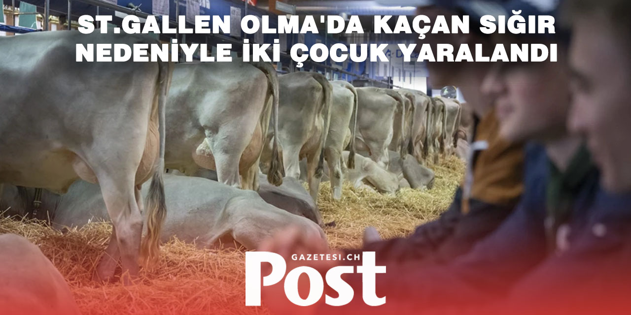 St. Gallen’de Panik: Saldırgan Sığır Vurularak Etkisiz Hale Getirildi