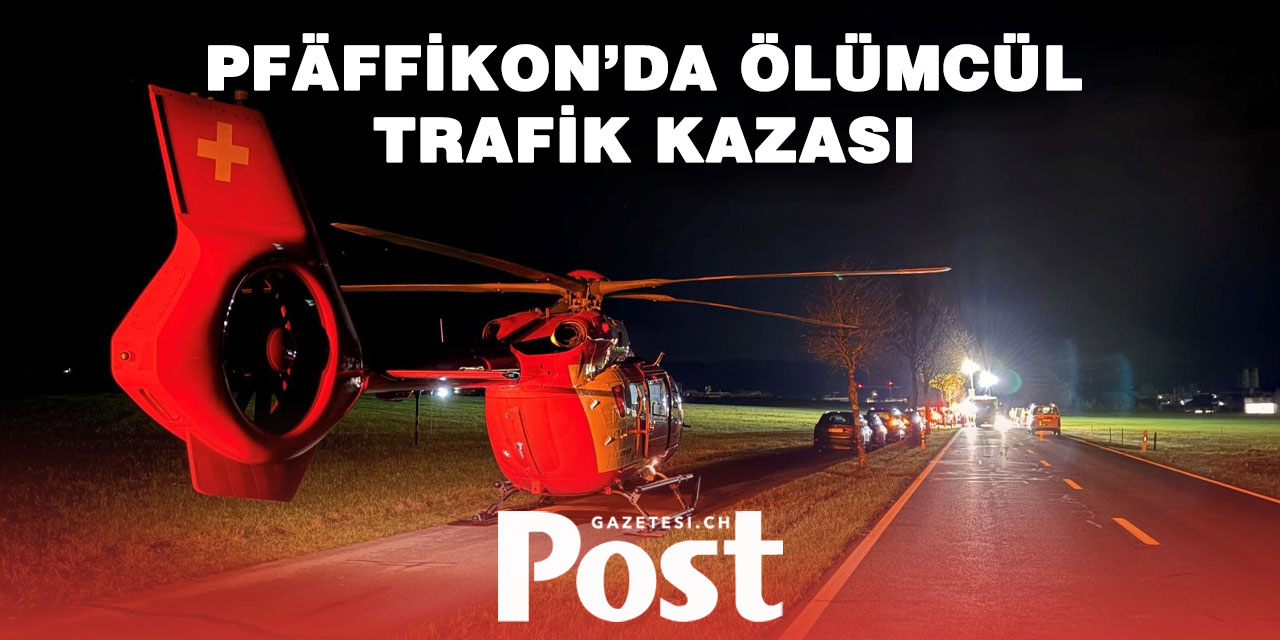 Pfäffikon’da kamyonet ağaca çarptı: Sürücü hayatını kaybetti