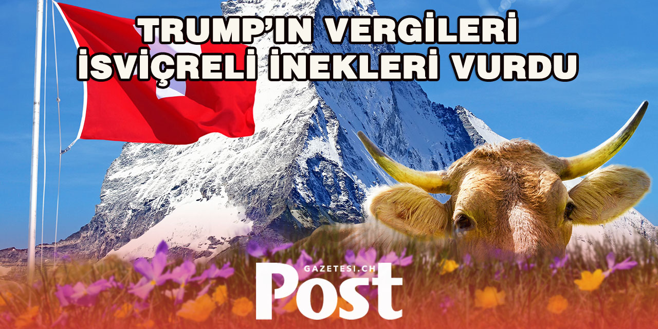 Yüzde 39’luk vergi  süt ve peynir üretimini krize soktu