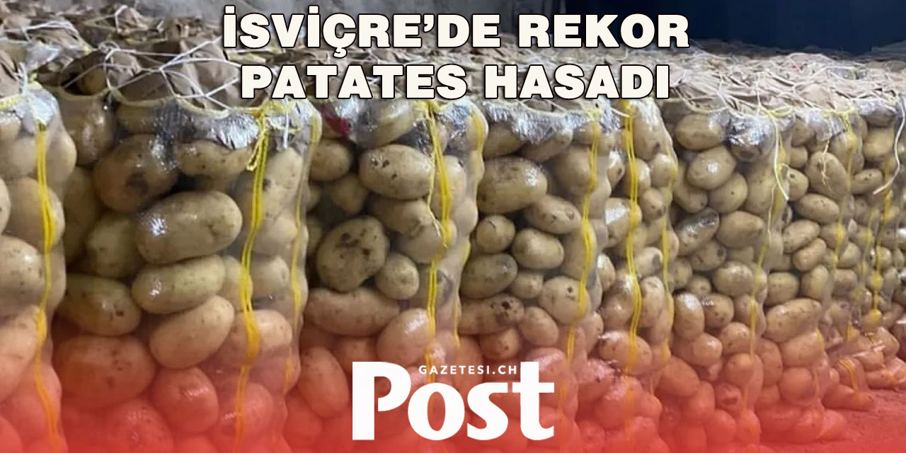 İsviçre’de Patates Depoları Doldu Taştı