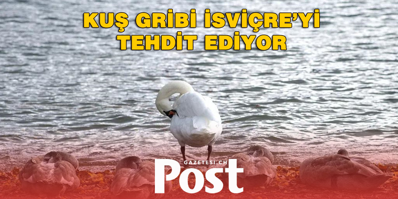 Kuş Gribi Önlemleri Tüm İsviçre’ye Yayılıyor