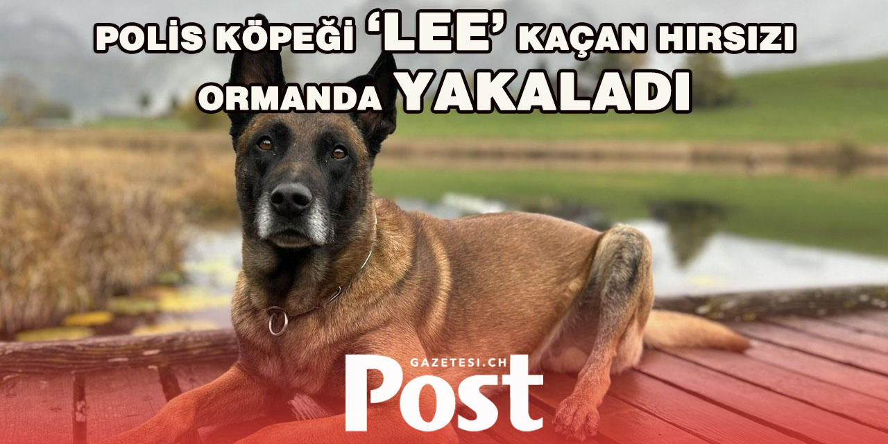 Wädenswil’de Polis Köpeği Kaçan Hırsızı Yakaladı