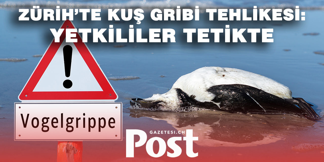 İsviçre’de Hayvan Hastalıkları Kritik Seviyede