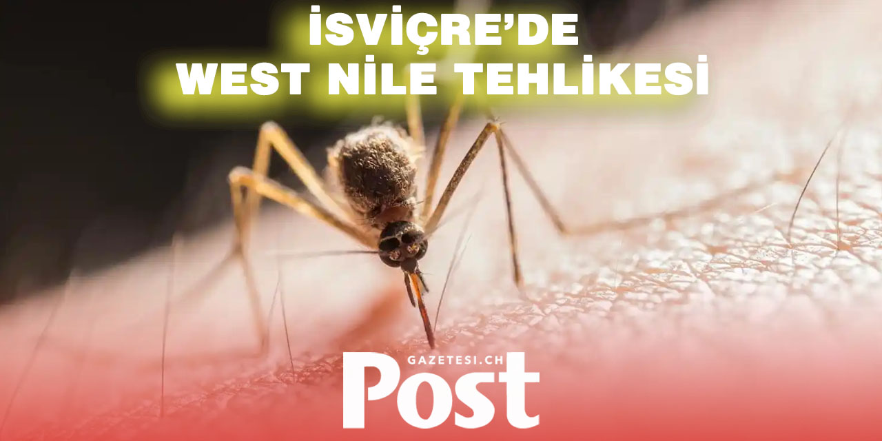 İsviçre’de İlk Yerel West Nile Virüsü Vakası Tespit Edildi