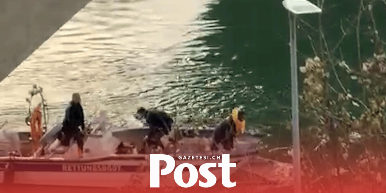 Kamyon Köprü Korkuluklarını Aşıp Aare Nehri’ne Düştü