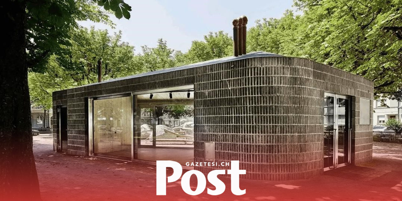 BASEL’DE ÇOCUĞA CİNSEL İSTİSMAR İDDİASI: 30 YAŞINDAKİ ŞÜPHELİ TUTUKLANDI