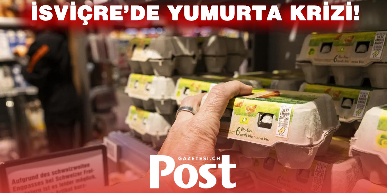 Süpermarketlerde Yumurta Yok: İsviçre’de Talep Patladı