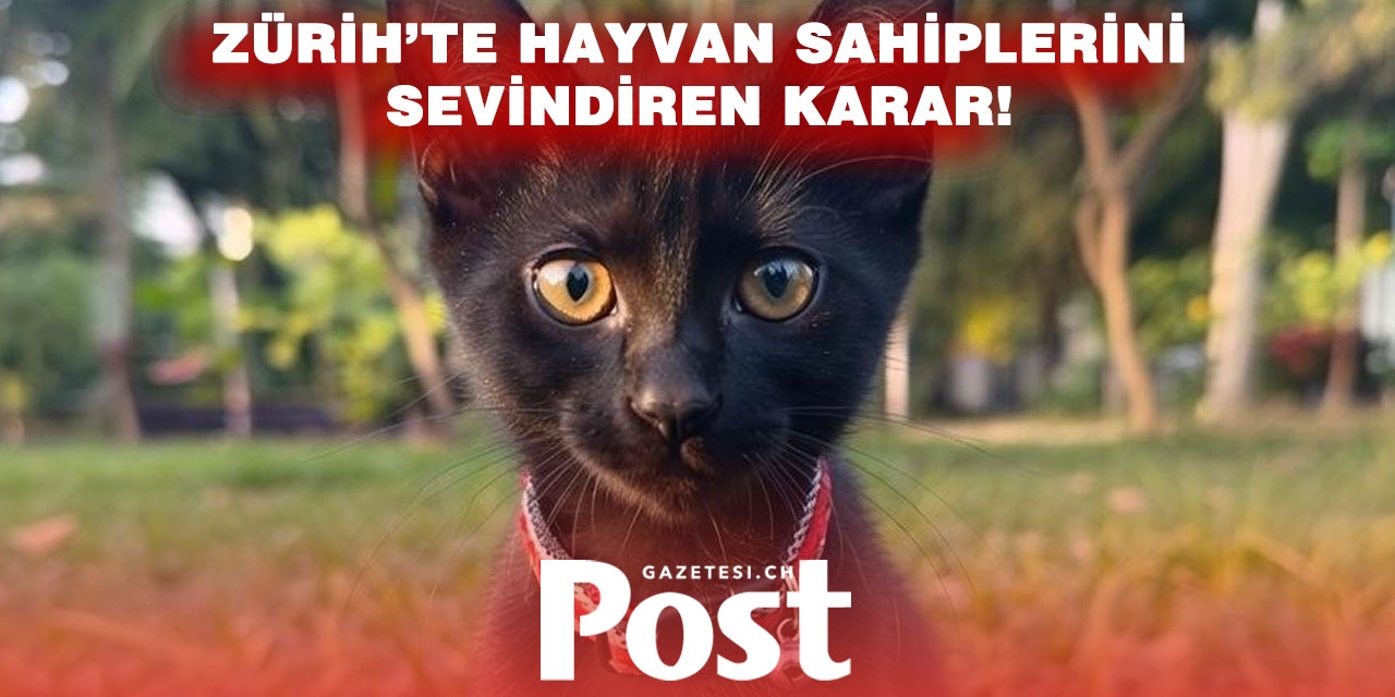 Zürih’te dar gelirliye özel veteriner kliniği gündemde