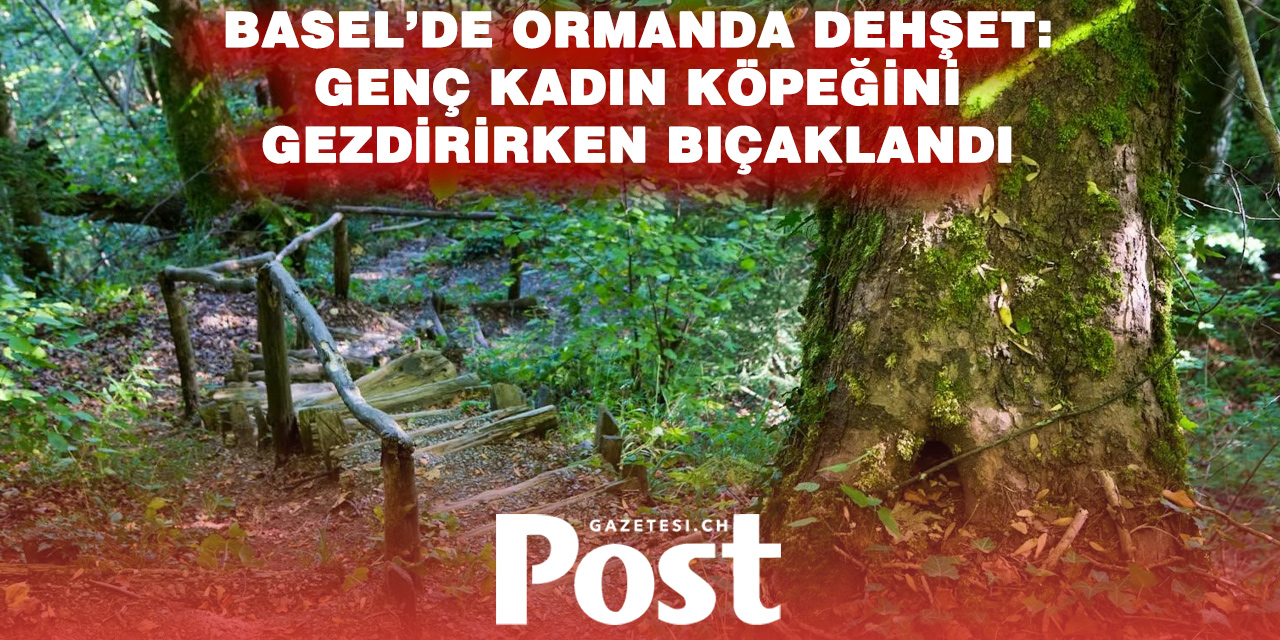 Basel’de ormanda bıçaklı saldırı: 25 yaşındaki kadın yaralandı