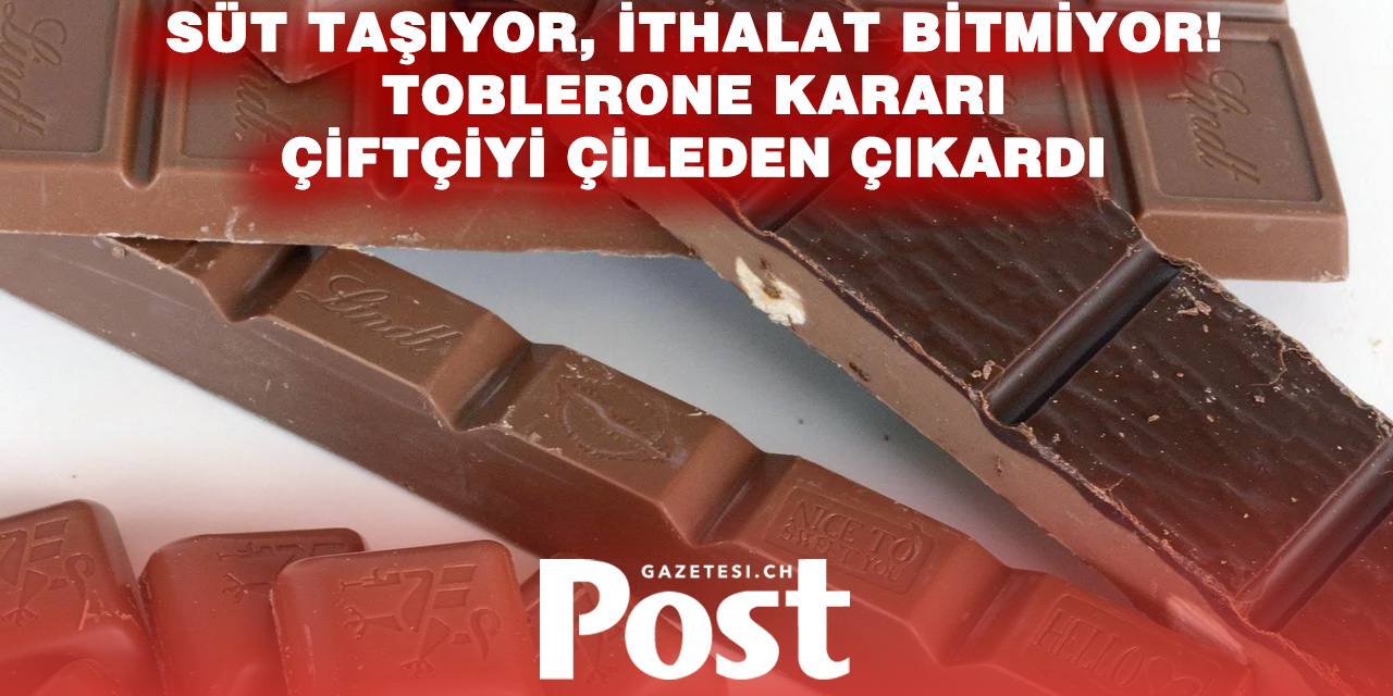 Süt Fazlası Var Ama Toblerone İthal Ediyor! İsviçreli Çiftçiler Ayakta