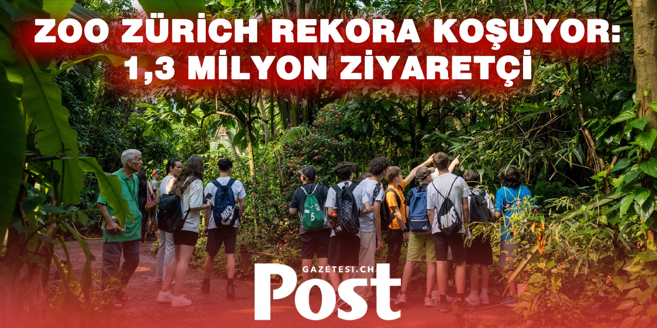 Zoo Zürich’e 1,3 Milyon Ziyaretçi